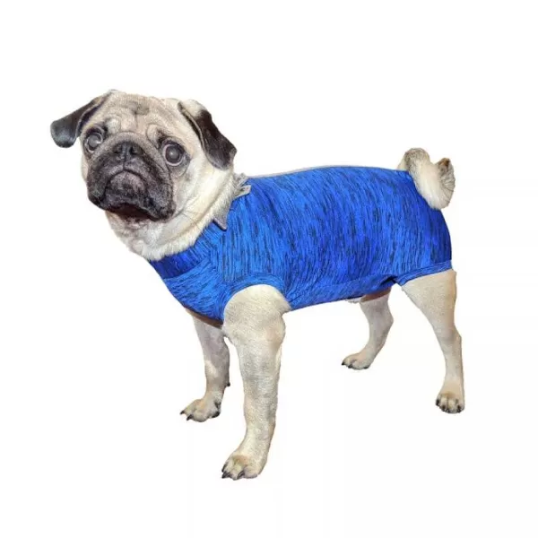 Body Quirurgico Perro - Azul>Petmed Store