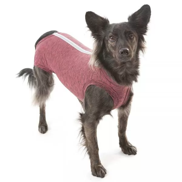 Body Quirurgico Perro - Rosado>Petmed Best Sale