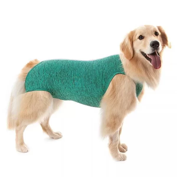 Body Quirurgico Perro - Verde>Petmed Flash Sale