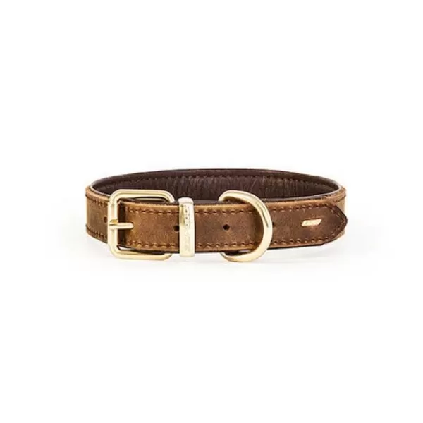 Collar Cuero Caf - >Ezydog Online