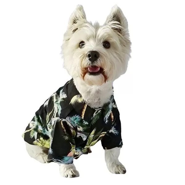 Guayabera Para Mascota Anga Roa>Mister & Misses Pet Online