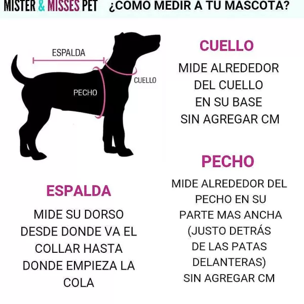 Guayabera Para Mascota Anga Roa>Mister & Misses Pet Online