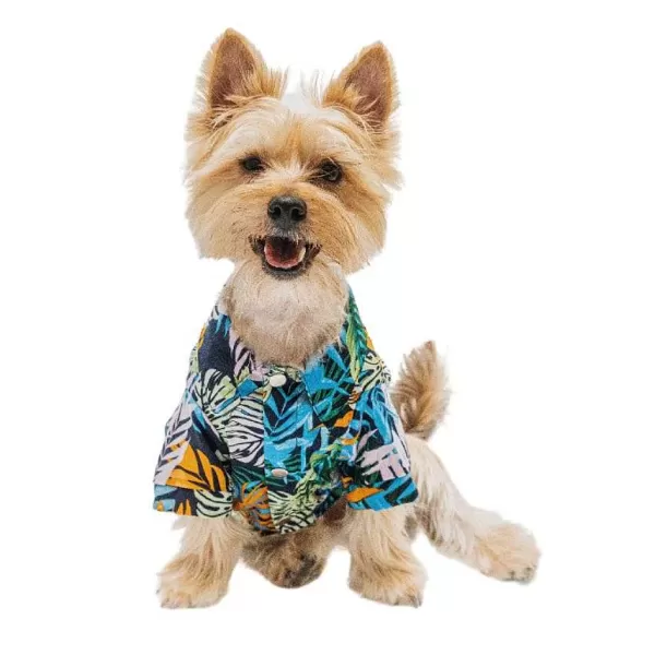 Guayabera Para Mascota Tropical Cali>Mister & Misses Pet Fashion