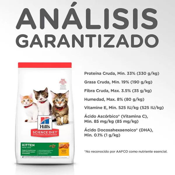 Hills Kitten Healthy Development Alimento Para Gato>Hill's Outlet