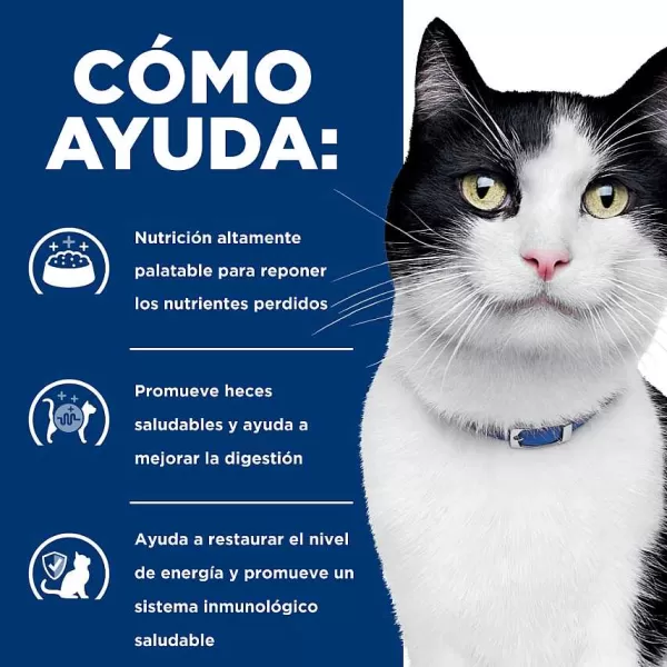 Hills Lata Feline I/D Cuidado Digestivo Alimento H Medo Para Gatos>Hill's Cheap