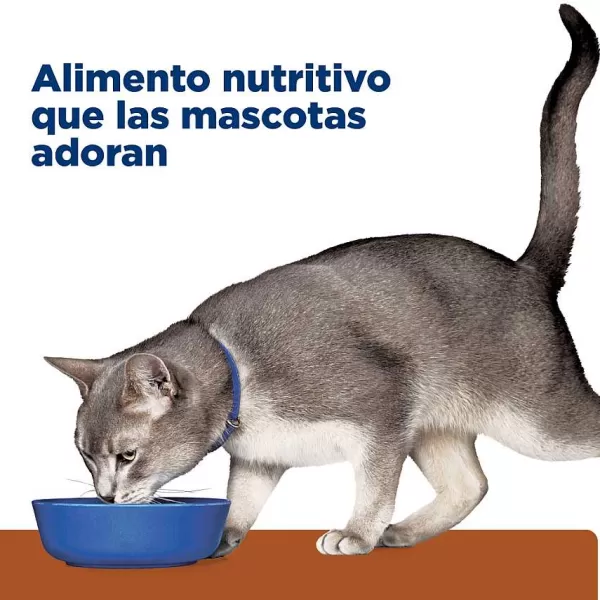Hills Lata Feline K/D Cuidado Ri On Alimento H Medo Para Gatos>Hill's Hot