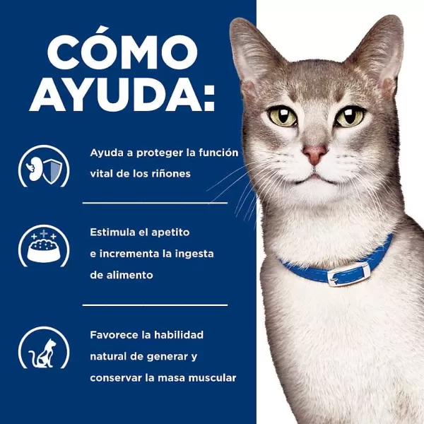 Hills Lata Feline K/D Cuidado Ri On Alimento H Medo Para Gatos>Hill's Hot