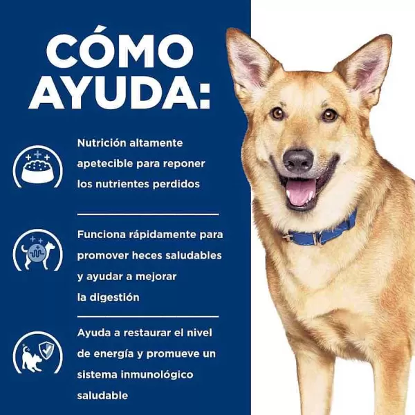 Prescription Diet Cuidado Digestivo Alimento H Medo Para Perros Peque Os 156 Gr>Hill's Shop