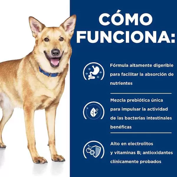 Prescription Diet Cuidado Digestivo Alimento H Medo Para Perros Peque Os 156 Gr>Hill's Shop