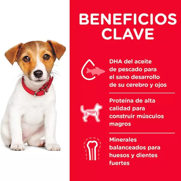 Hills Puppy Small Bites Receta De Harina De Pollo Y Cebada Alimento Para Perro>Hill's Best