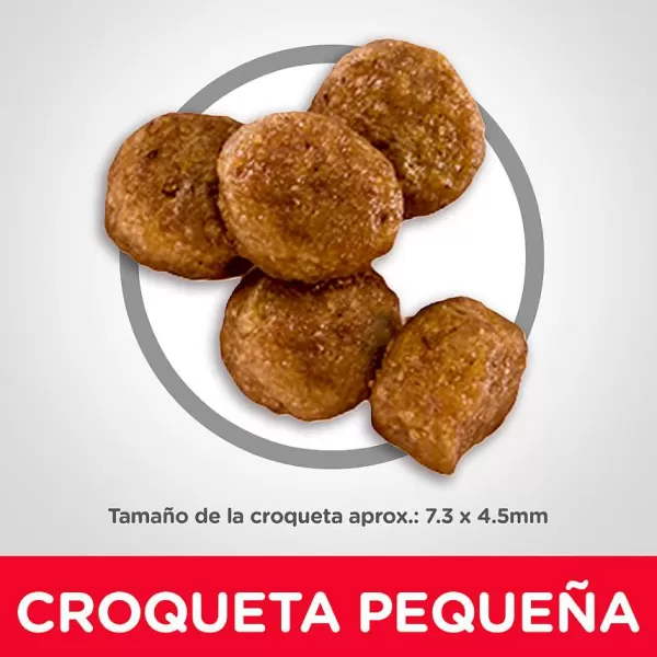 Hills Puppy Small Bites Receta De Harina De Pollo Y Cebada Alimento Para Perro>Hill's Best