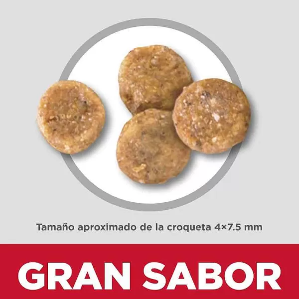 Science Diet Alimento Para Perros Adultos De Piel Y Est Mago Sensibles Razas Peque As Y Miniatura 1.81 Kg>Hill's Outlet