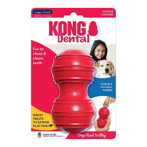 Dental Large>Kong Online