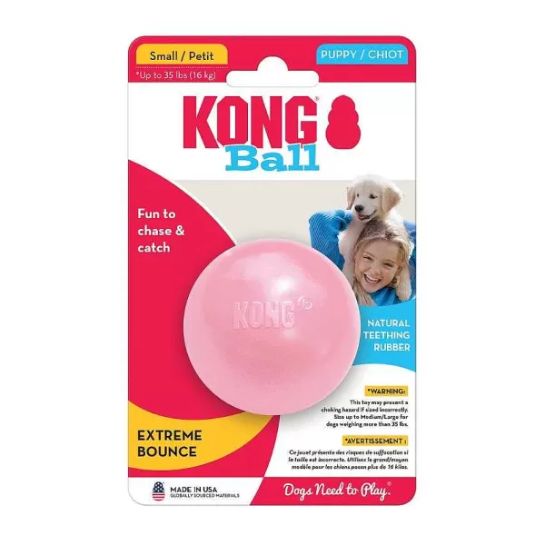 Puppy Ball>Kong Hot