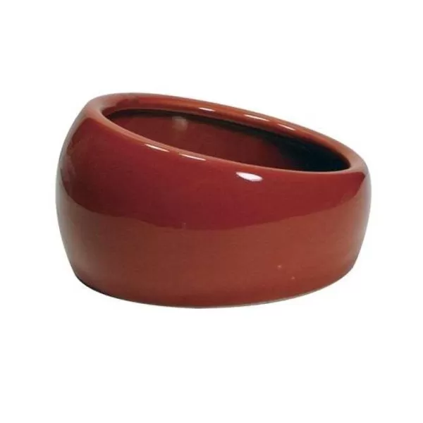 Comedero Ergon Mico Terracota>Living World Hot