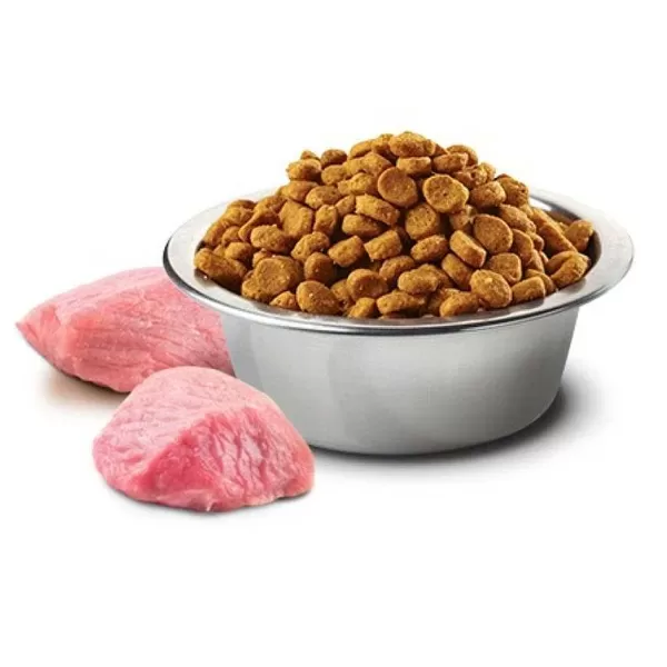N&D Pollo Y Granada Kitten Sin Granos Alimento Para Gato>Natural&Delicious Flash Sale