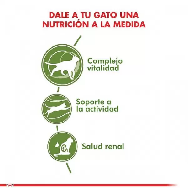 Adulto Active 7+ Alimento Para Gato>Royal Canin Hot