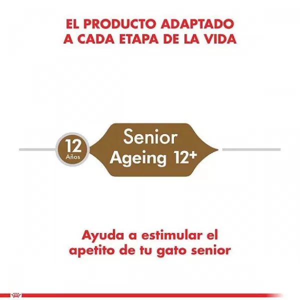 Adulto Ageing 12+ 2Kg Alimento Para Gato>Royal Canin Flash Sale