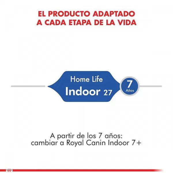 Adulto Indoor Alimento Para Gato>Royal Canin Cheap