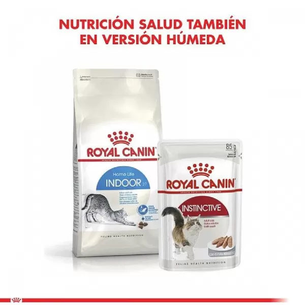 Adulto Indoor Alimento Para Gato>Royal Canin Cheap