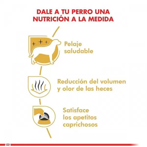 Adulto Maltes Adult Alimento Para Perro>Royal Canin Cheap