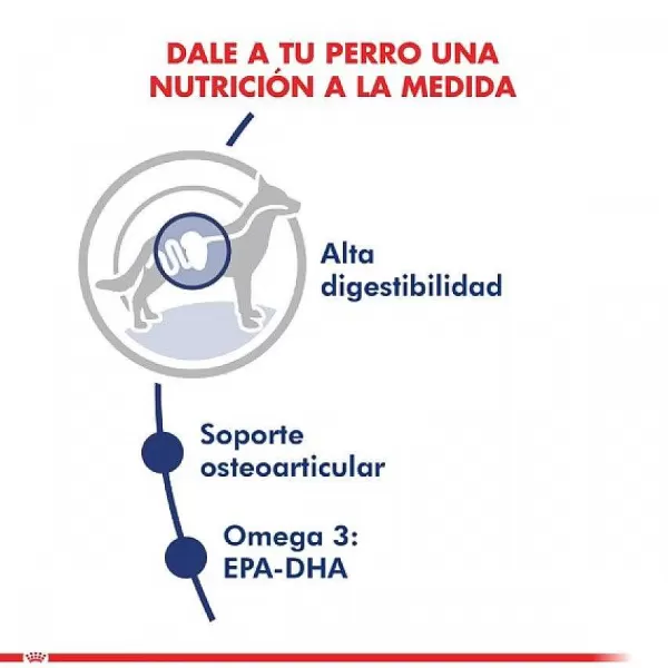 Adulto Maxi Adult 15 Kg Alimento Para Perro>Royal Canin Shop