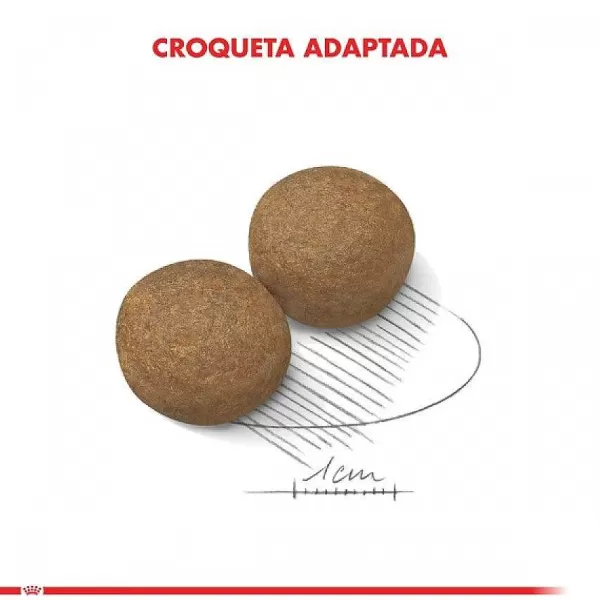 Adulto Maxi Adult 15 Kg Alimento Para Perro>Royal Canin Shop