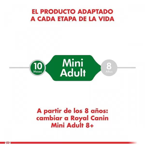 Adulto Mini Adult Alimento Para Perro>Royal Canin Flash Sale