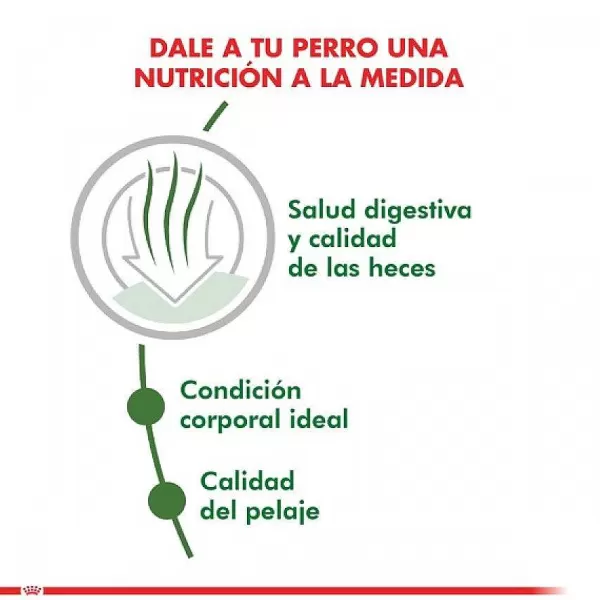 Adulto Mini Indoor Adult Alimento Para Perro>Royal Canin Hot
