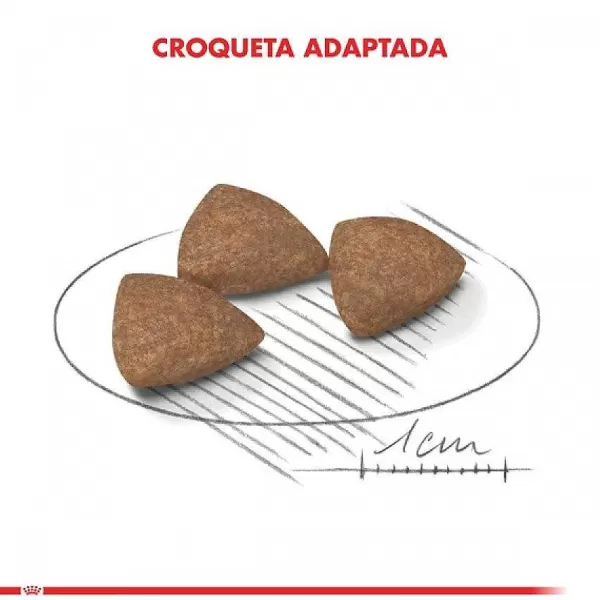 Adulto Mini Indoor Adult Alimento Para Perro>Royal Canin Hot