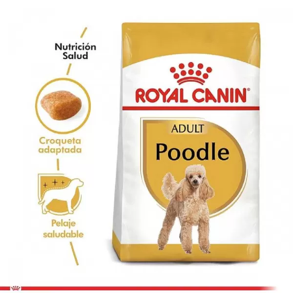 Adulto Poodle Adult Alimento Para Perro>Royal Canin Store