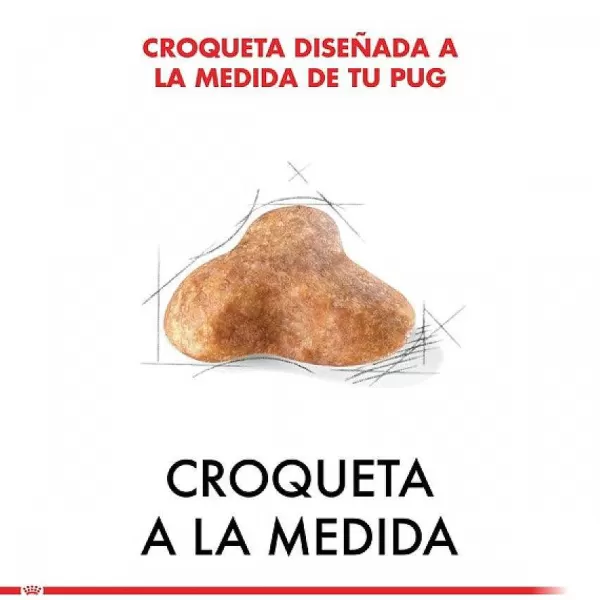 Adulto Pug Adult 2.5 Kg Alimento Para Perro>Royal Canin Clearance