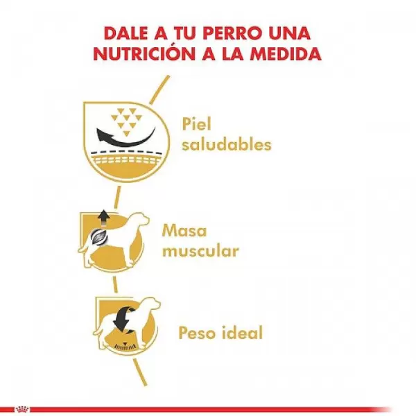Adulto Pug Adult 2.5 Kg Alimento Para Perro>Royal Canin Clearance