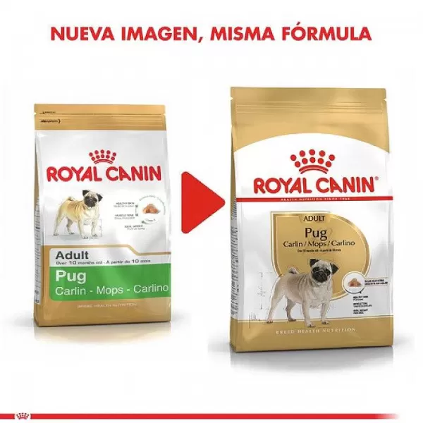 Adulto Pug Adult 2.5 Kg Alimento Para Perro>Royal Canin Clearance