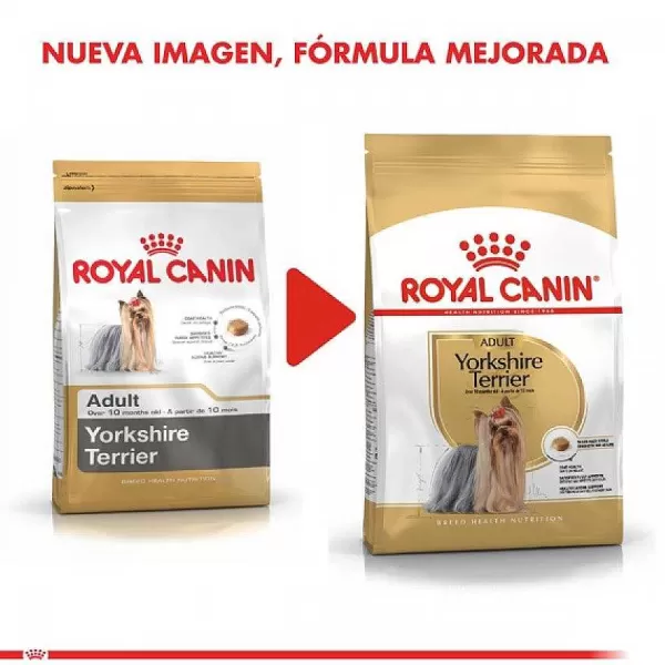 Adulto Yorkshire Terrier Adult Alimento Para Perro>Royal Canin Online