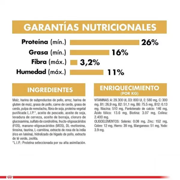 Adulto Yorkshire Terrier Adult Alimento Para Perro>Royal Canin Online