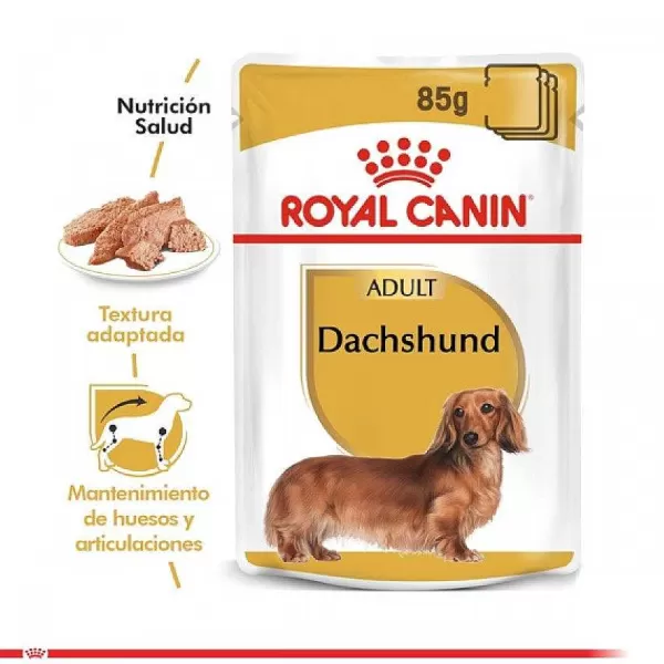 Alimento H Medo Perro Adulto Dachshund>Royal Canin Cheap