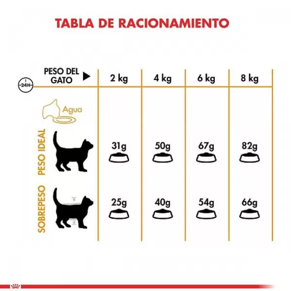 Alimento Seco Gato Adulto Hair & Skin>Royal Canin Fashion