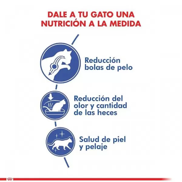 Alimento Seco Gato Adulto Indoor Long Hair>Royal Canin Cheap