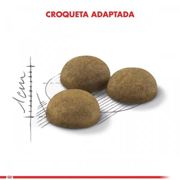 Alimento Seco Gato Adulto Indoor Long Hair>Royal Canin Cheap