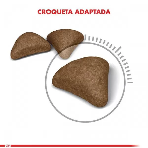 Alimento Seco Gato Adulto Intense Hairball 1.5 Kg .>Royal Canin Clearance