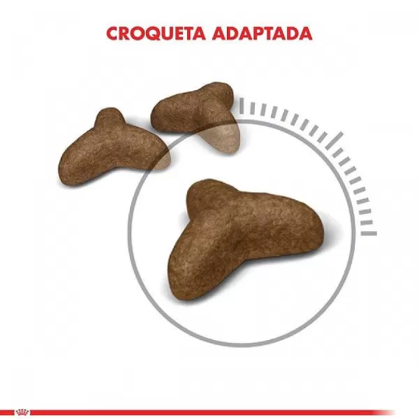 Alimento Seco Gato Adulto Light Weight>Royal Canin Hot