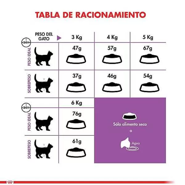 Alimento Seco Gato Adulto Regular Sterilised>Royal Canin Outlet