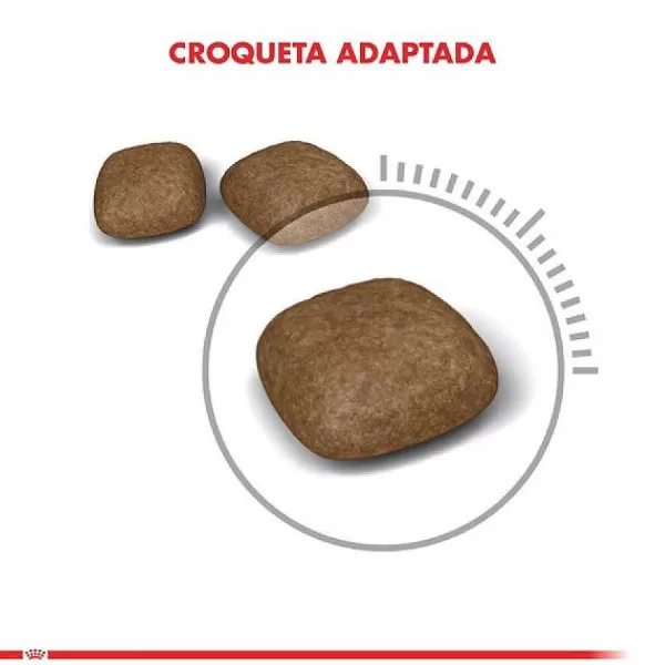 Alimento Seco Gato Adulto Urinary Care>Royal Canin Shop