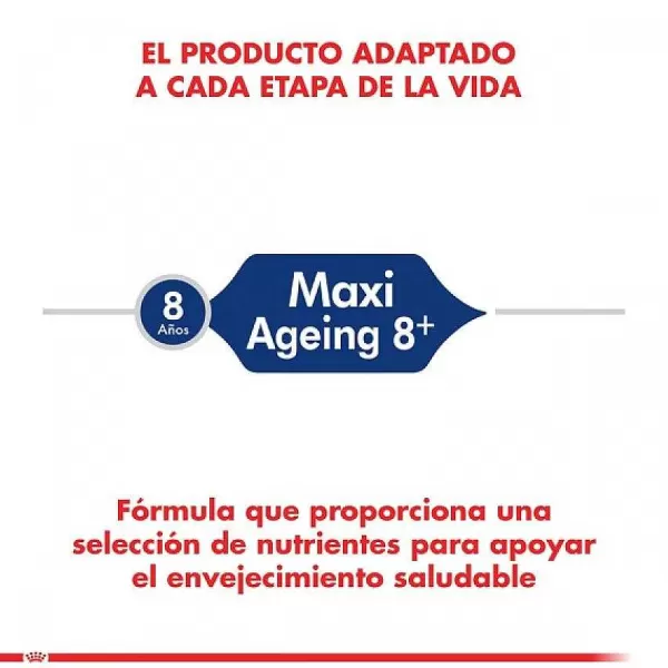 Alimento Seco Perro Adulto Maxi Ageing 8+>Royal Canin Clearance