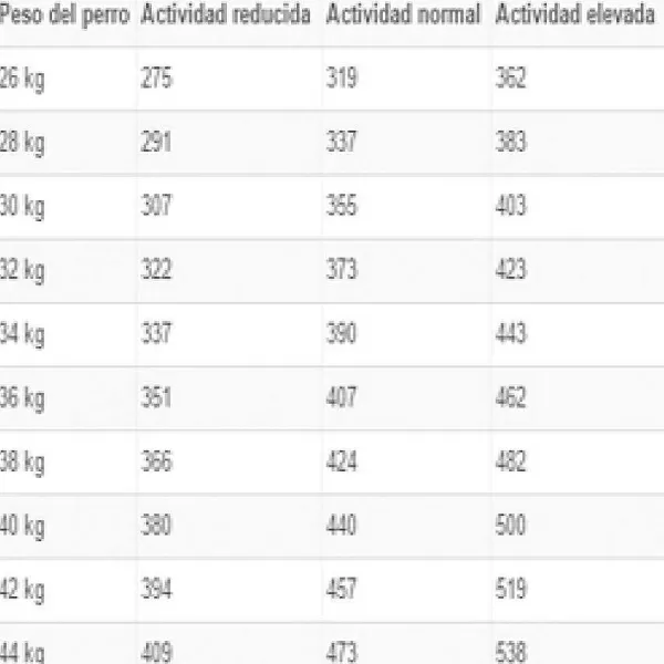 Alimento Seco Perro Adulto Maxi Dermacomfort>Royal Canin Discount