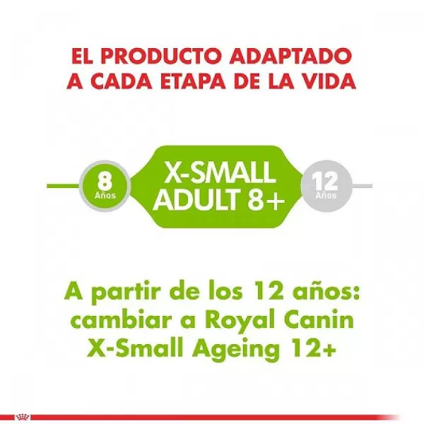 Alimento Seco Perro Adulto X-Small Adult 8+ 1Kg>Royal Canin Online