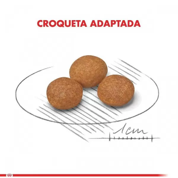 Alimento Seco Perro Adulto X-Small Adult 8+ 1Kg>Royal Canin Online