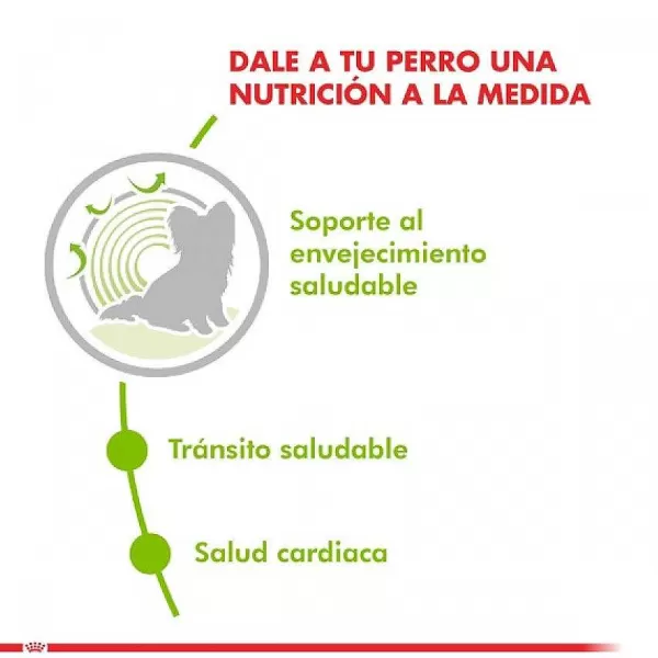 Alimento Seco Perro Adulto X-Small Ageing 12+ 1Kg>Royal Canin Hot