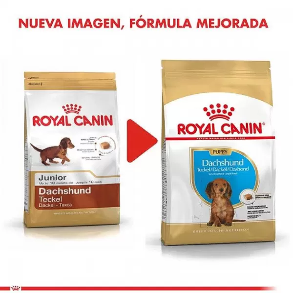 Cachorro Dachshund Junior Alimento Para Perro>Royal Canin Clearance